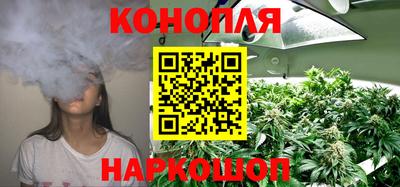 mdpv Партизанск
