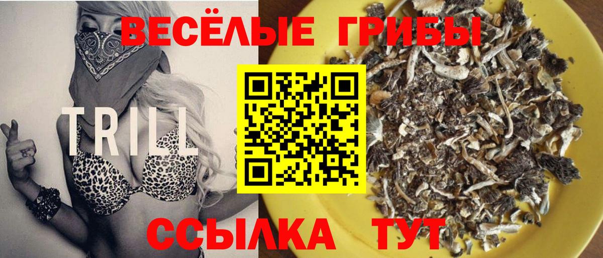 Псилоцибиновые грибы прущие грибы  Псилоцибиновые грибы Cubensis  Кореновск  Вход с VPN 