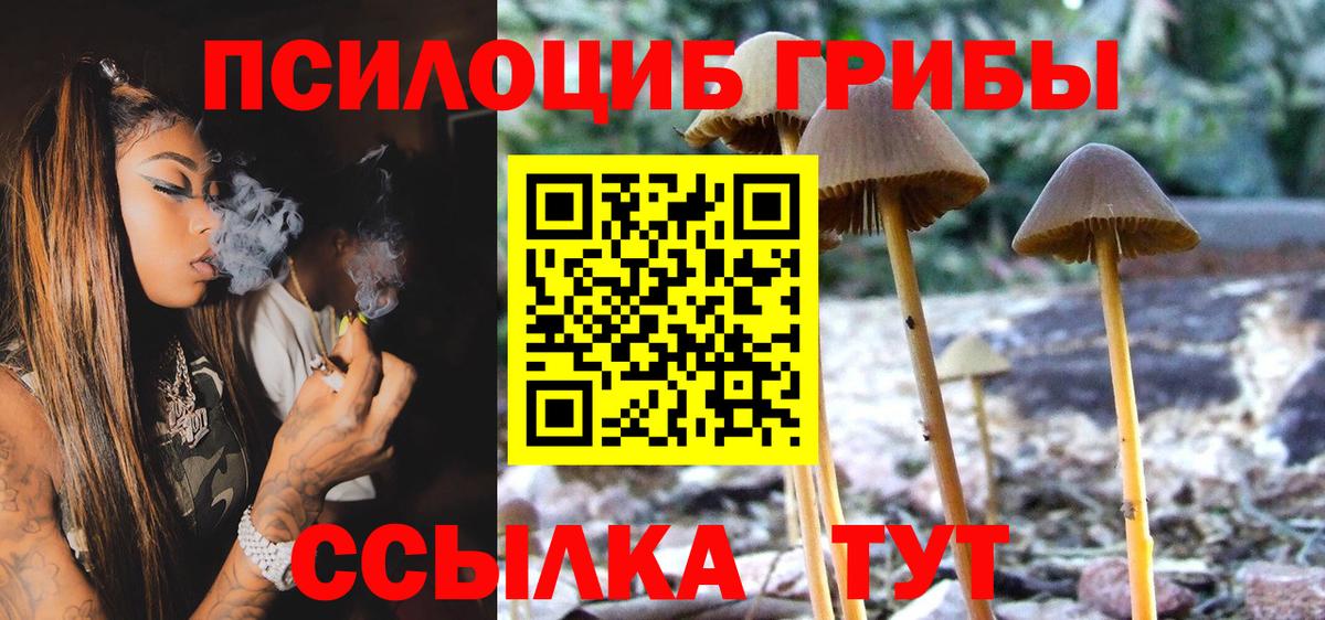 Галлюциногенные грибы GOLDEN TEACHER Кореновск